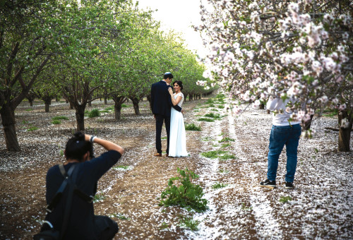 חתונה (צילום: הדס פרוש פלאש 90)
