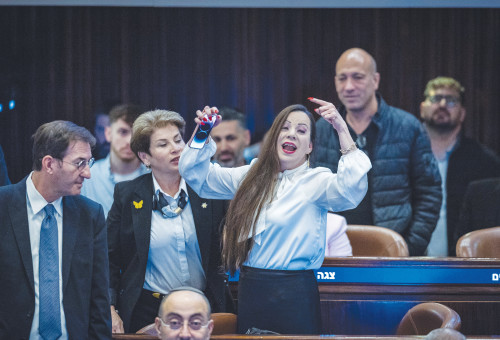טלי גוטליב (צילום: חיים גולדברג פלאש 90)