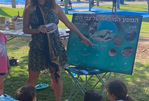 פסטיבל ירוק בחיפה  (צילום: הפקת הפסטיבל)