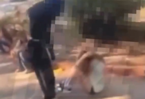 אירוע אלימות באשדוד: נערה בן 14 הותקפה (צילום: צילום מסך: מתוך רשתות חברתיות)