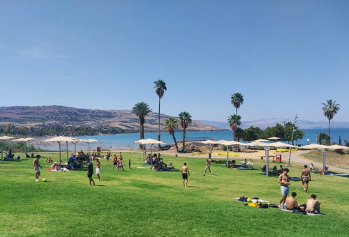 חוף צמח (צילום: צילום: נועה אלפנדרי, איגוד ערים כינרת)