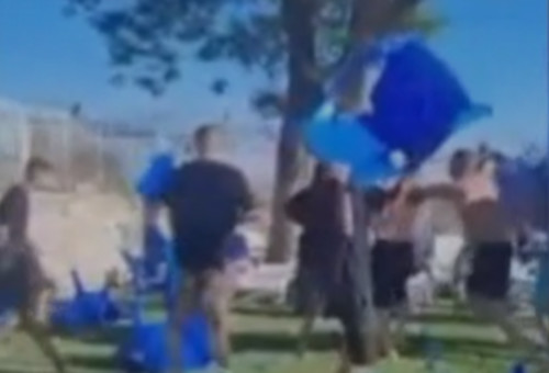 קטטה בבריכה בערד (צילום: רשתות חברתיות, שימוש לפי סעיף 27 א')