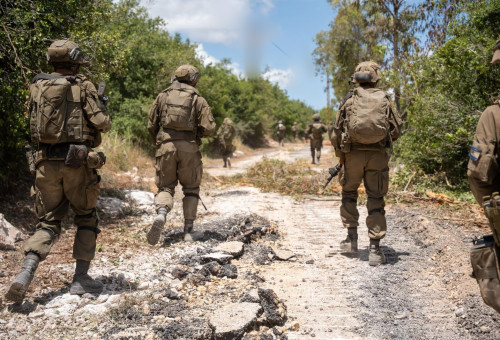 פעילות כוחות חטיבה 401 בדרום לבנון (צילום: דובר צה"ל)