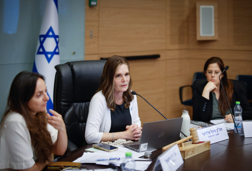 ח"כ מיכל וולדיגר, יו"ר ועדת העבודה והרווחה של הכנסת (צילום: דוברות הכנסת, נועם מושקוביץ, דני שם-טוב)