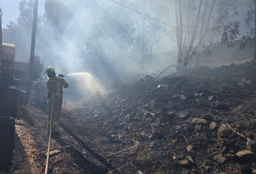 שריפה באליפלט שבצפון (צילום: דוברות כיבוי והצלה)