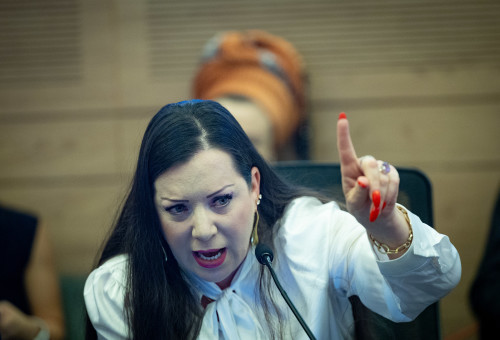 טלי גוטליב (צילום: יונתן זינדל, פלאש 90)