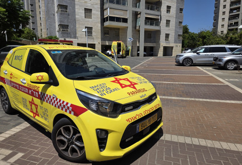 מזירת הרצח ברחובות (צילום: תיעוד מבצעי מד"א)