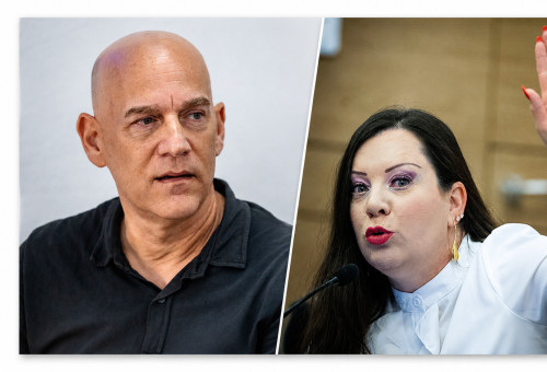 טלי גוטליב, גיא פלג (צילום: יונתן זינדל פלאש 90,חיים גולדברג פלאש 90,איור: מעריב אונליין)