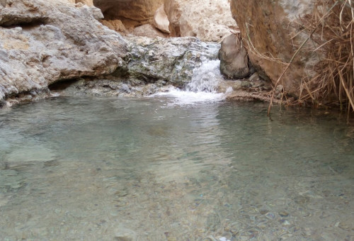 עין בוקק (צילום: גזית אגסי רשות הטבע והגנים)