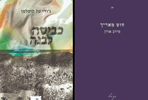 חוט מאריך, כביסה לבנה - כריכת הספרים (צילום: כריכת הספר)