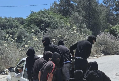 נערי גבעות על טנדר ביהודה ושומרון (צילום: צילום מסך מתוך X (לשעבר טוויטר))