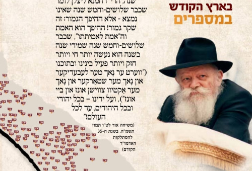 נתוני ארגון "צעירי אגודת חב"ד" (צא"ח) (צילום: יח"צ חב"ד)