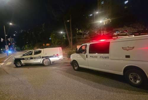 כוחות משטרה (צילום: דוברות המשטרה)