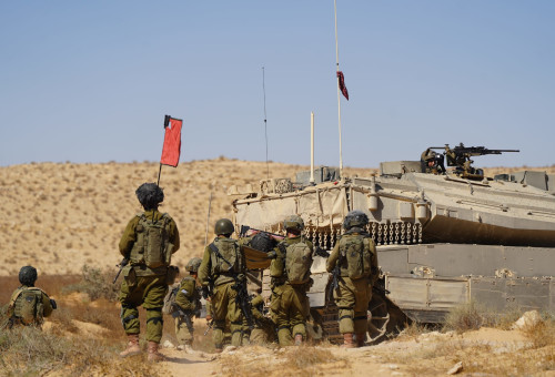 פעילות לוחמי צה"ל (צילום: דובר צה"ל)