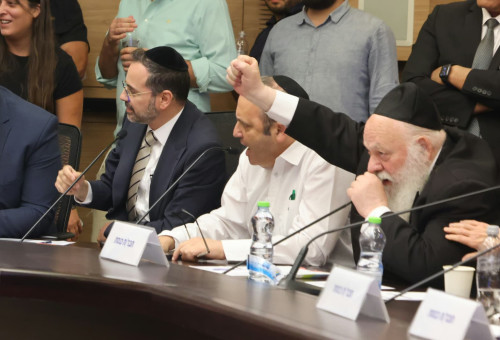 יצחק גולדקנוף במהלך הדיון (צילום: נועם מושקוביץ, דוברות הכנסת)
