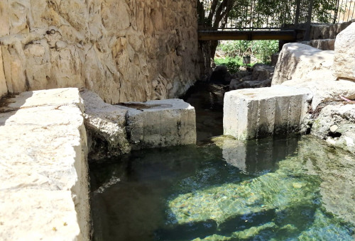 עין מבוע (צילום: דוד לנדאו, רשות הטבע והגנים)