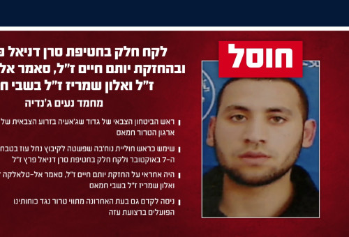 מחמד נעים ג'נדיה (צילום: דובר צה"ל)