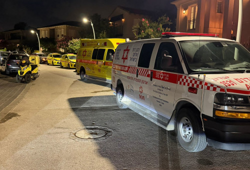תיעוד מזירת התאונה (צילום: דוברות מד"א)