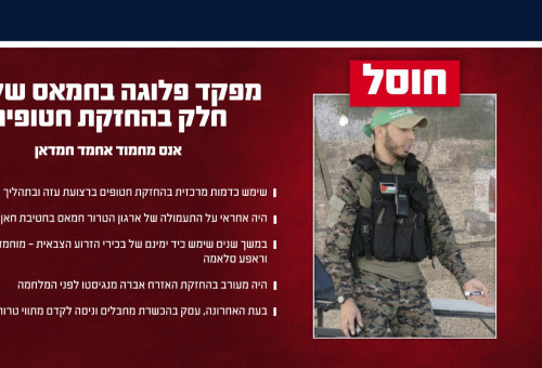 אנס מחמוד אחמד חמדאן (צילום: דובר צהל)