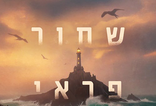 חוף שחור פראי, שרלוט מקונהי (צילום: כריכת הספר)