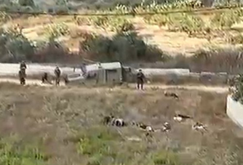 ירי ליד חוות גלעד בשומרון (צילום: מתוך רשתות לפי סעיף 27 א על פי זכויות יוצרים)