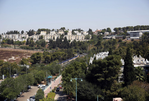 נוף הגליל (צילום: אריאל בשור)