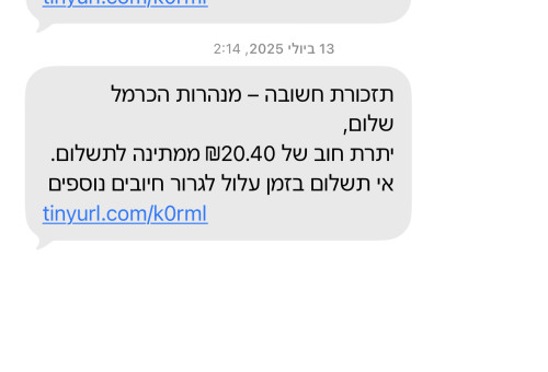 ניסיון הונאה באס אמ אס (צילום: צילום מסך)