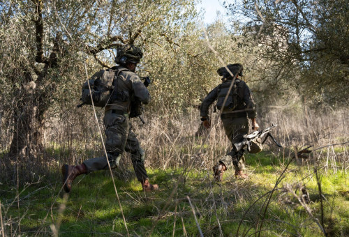 כוח צה"ל בלבנון. ישראל יכולה להרוויח, אך ישנם ויתוריםיד (צילום: דובר צה"ל)