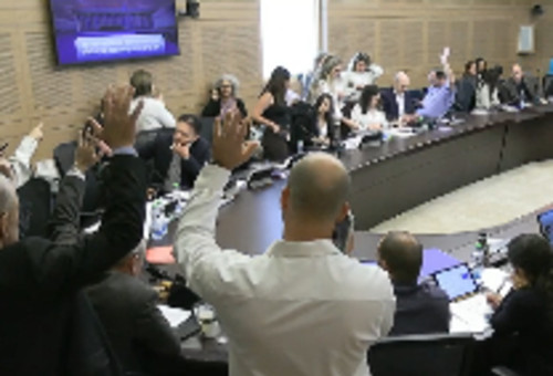הדיון בוועדת הכספים (צילום: צילום מסך מערוץ הכנסת)
