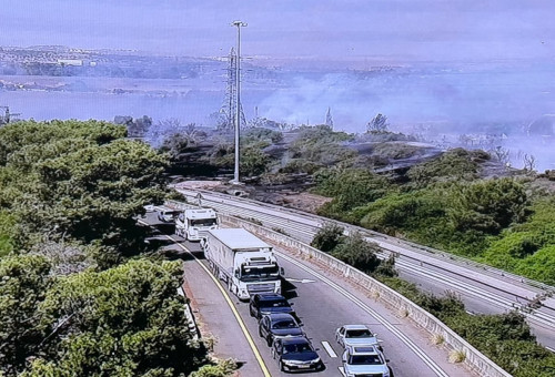 השריפה סמוך לכביש 1 (צילום: דוברות כבאות והצלה)