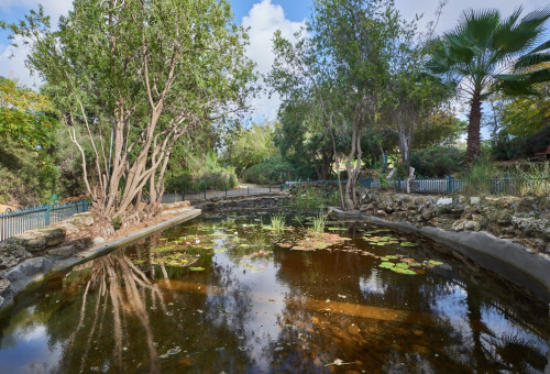 דרך צל בגבעתיים (צילום: עיריית גבעתיים)