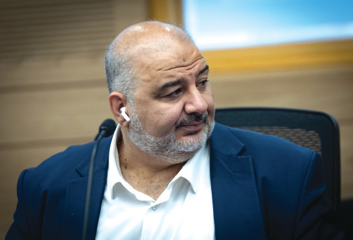 מנסור עבאס (צילום: יונתן זינדל פלאש 90)