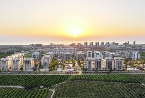 פרויקט לאב. גינדי החזקות (צילום: אול אין הדמיות)