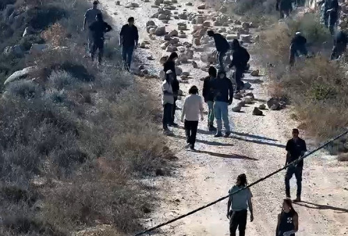 פעילי ימין בקוסרא (צילום: רשתות חברתיות)