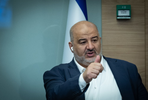 מנסור עבאס (צילום: יונתן זינדל פלאש 90)