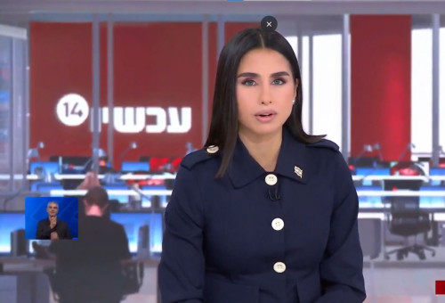 מגי טביבי (צילום: צילום מסך ערוץ 14)