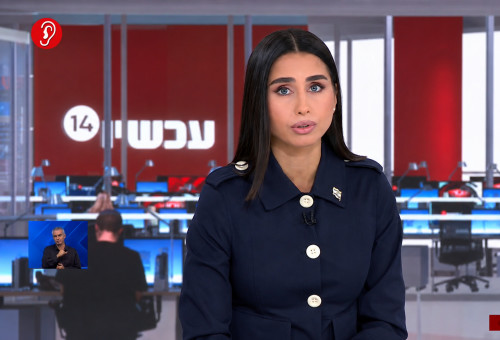 מגי טביבי (צילום: צילום מסך ערוץ 14)