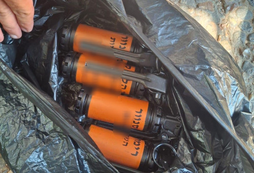 הרימונים שנתפסו (צילום: דוברות המשטרה)
