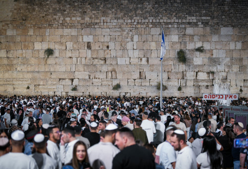 סליחות בכותל (צילום: אריה לייב אברמס פלאש 90)