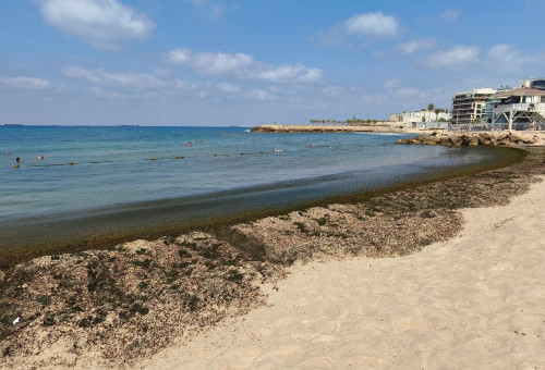 חוף בת גלים (צילום: רפי בן חקון)