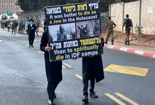 שלט מחריד בהפגנת החרדים נגד הגיוס לצה"ל (צילום: אבשלום ששוני)