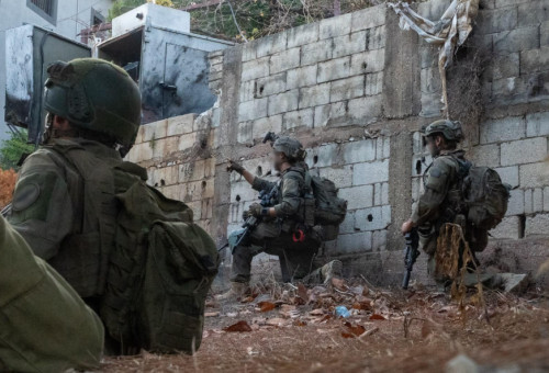 פעילות חיילי צה"ל בלבנון (צילום: דובר צה"ל)