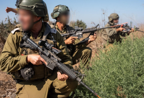 תרגיל חיילי צה"ל במרחב רמת הגולן (צילום: דובר צה"ל)