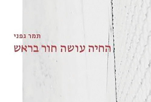 כריכת הספר "החיה עושה לי חור בראש" מאת תמר גפני (צילום: יח"צ)
