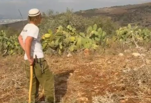 אירוע אלימות בשומרון (צילום: שימוש לפי סעיף 27א')