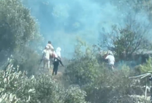 אלימות מתנחלים (צילום: צילום מסך,שימוש לפי סעיף 27א')