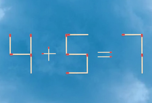 חידה (צילום: צילום מסך)
