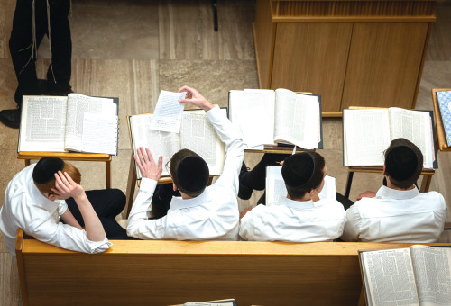 נערים חרדים בישיבה (צילום: חיים גולדברג פלאש 90)
