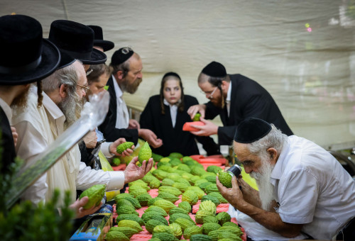 שוק ארבעת המינים (צילום: חיים גולדברג פלאש 90)