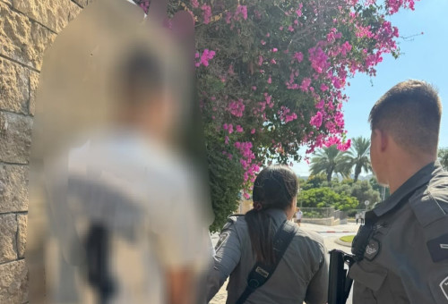 מעצר החשודים באירוע (צילום: דוברות המשטרה)